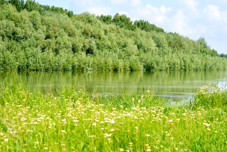 Summer landscape with green rivers, grass, treesの写真素材