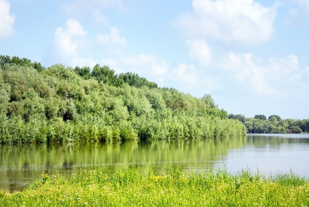 Summer landscape with green rivers, grass, treesの写真素材