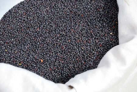 Rape seeds in a sackの写真素材