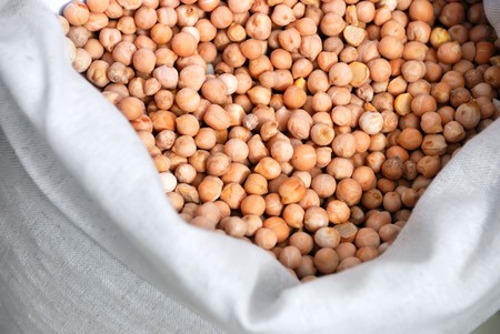 chick pea crop in a sackの写真素材