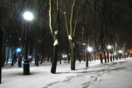 Winter landscape of city park at nightの写真素材