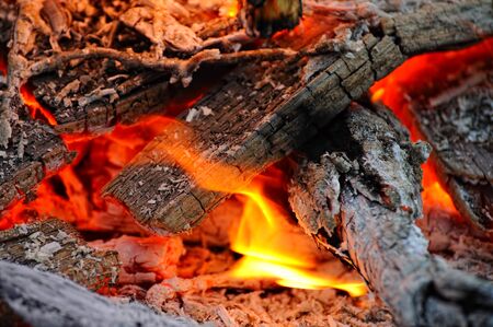 Photo of wood burning in the fireの写真素材