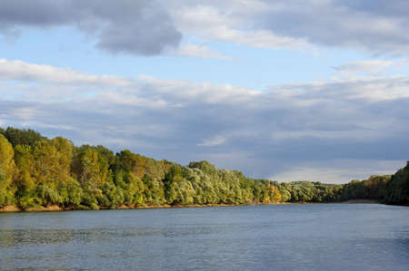 beautiful river and forest in autumn