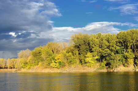 bright landscape. forest, river and sky
