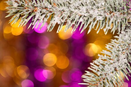 fir tree branch with snow on golden bokeh backgroundの写真素材