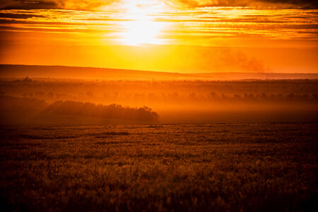 bright sunset landscape as backgroundの写真素材