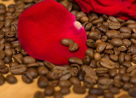 red rose on coffee seeds and wooden backgroundの写真素材