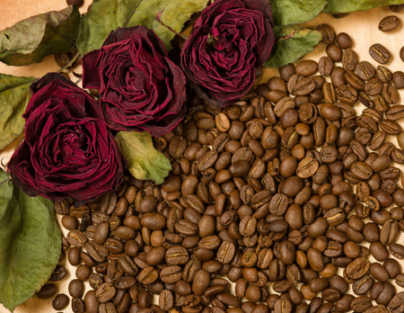 dry red roses on coffee seeds and wooden backgroundの写真素材