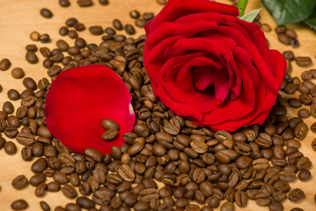 red rose on coffee seeds and wooden backgroundの写真素材
