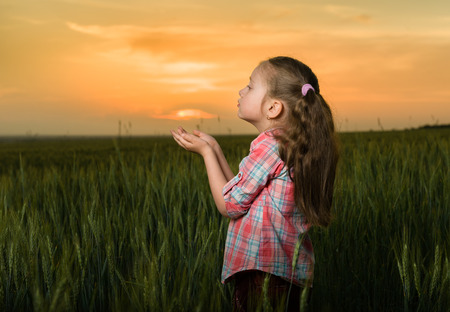 girl child portrait in the field at sunsetの写真素材