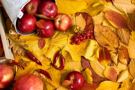 Autumn background from yellow leaves, apples, pumpkin. Fall season, eco food and harvest conceptの写真素材