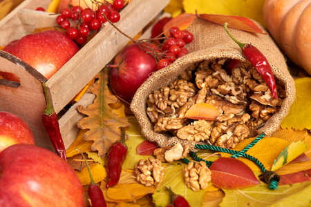 Nuts in a sack, fruits and vegetables on fallen leaves background, autumn seasonの写真素材