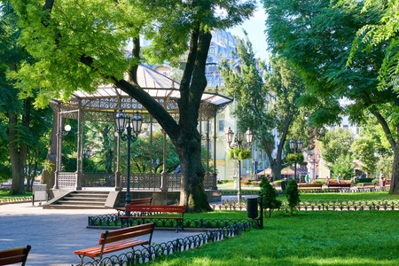 city park in summer, bright sunlit, green trees and shadowsの写真素材