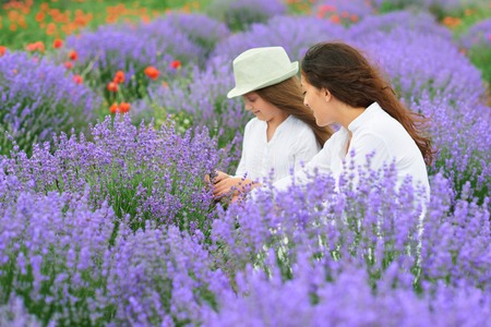 young woman and girl are in the lavender field, beautiful summer landscape with red poppy flowersの写真素材