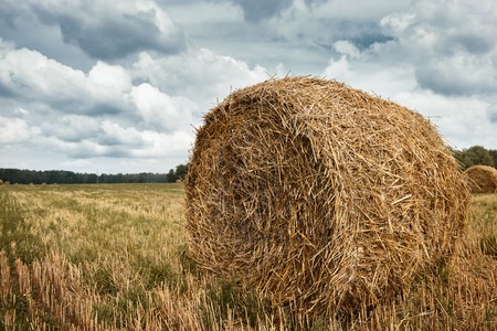 haystacks in summer field, beautiful landscapeの写真素材