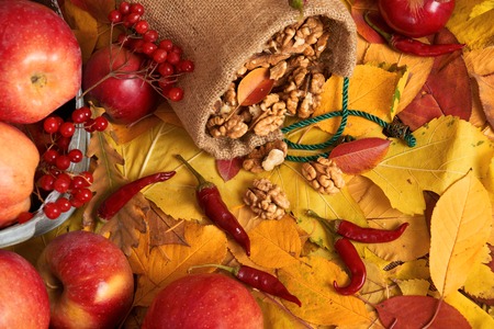 autumn harvest - fruits and vegetables are on fallen yellow leaves, nuts, apples, pumpkins, rowan and pepper. Perfect background for autumn season.の写真素材