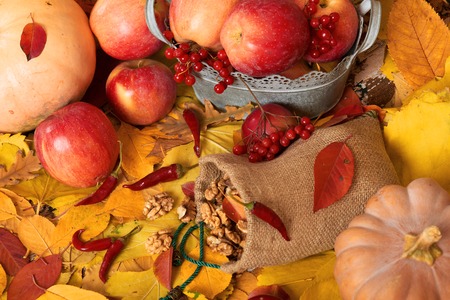 autumn harvest - fruits and vegetables are on fallen yellow leaves, nuts, apples, pumpkins, rowan and pepper. Perfect background for autumn season.の写真素材