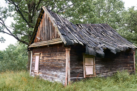 old wooden house in the forestの写真素材