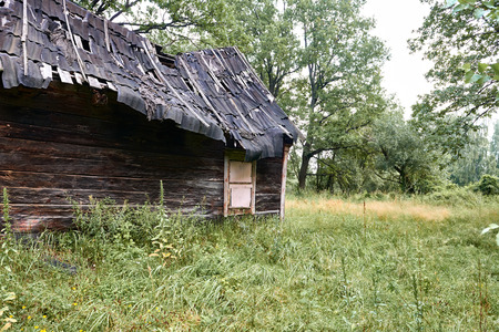 old wooden house in the forestの写真素材