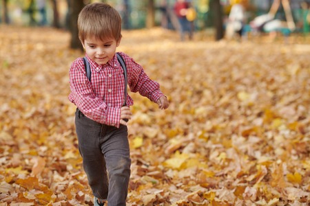Child boy is running in autumn city park. Bright yellow trees.の写真素材