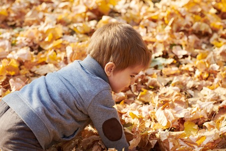 Child boy is in autumn city park. Bright yellow trees.の写真素材