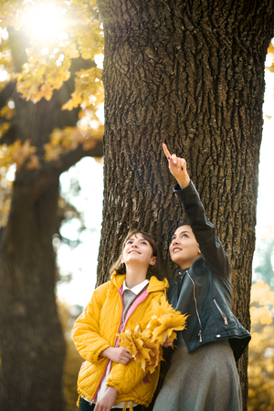 Two girls are in autumn city park. They stand near big tree and look on the sun.の写真素材