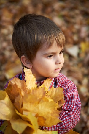 Child boy is in autumn city park with his family. Bright yellow trees.の写真素材