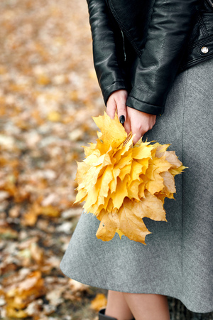 Woman hands with yellow leaves closeup. Fall season in city park.の写真素材
