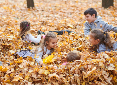 Children are lying and playing on fallen leaves in autumn city park.の写真素材