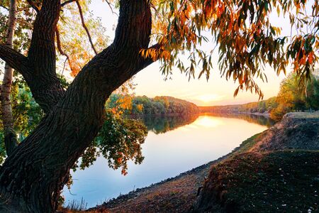beautiful sunset in autumn season - trees silhouette near a river, bright sunlightの写真素材