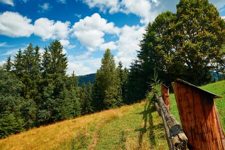 Beautiful summer landscape - countryside on hills with spruces, cloudy sky at bright sunny day. Village with wooden homes. Carpathian mountains. Ukraine. Europe. Travel background.の写真素材