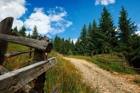 Beautiful summer landscape - country road on hills with spruces, wooden fence, cloudy sky at bright sunny day. Village with wooden homes. Carpathian mountains. Ukraine. Europe. Travel background.の写真素材
