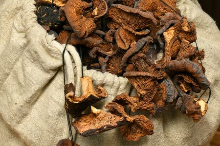 dry mushrooms in a sack - autumn harvest and healthy food concept. Yellow leaves. Still life on wooden background.の写真素材