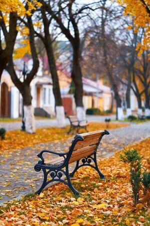 Bench in the city, autumn season, nobody, streetの写真素材