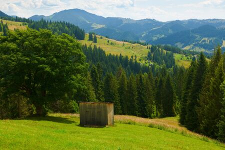 beautiful summer landscape, high spruces on hills, blue cloudy sky and wildflowers - travel destination scenic, carpathian mountainsの写真素材