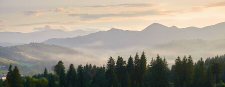 sunset, beautiful cloudy sky in carpathian mountains, summer landscape, spruces on hills