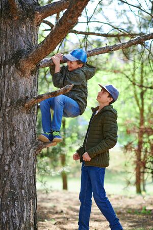 A boy helping to a girl climbing in a tree, bright sunlight, beautiful dayの写真素材