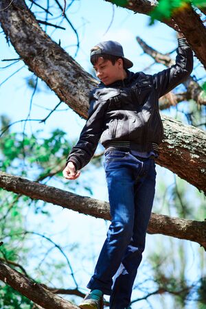 Teenage boy playing outdoor, climbing a tree, bright sunlight, beautiful day