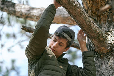teenage boy poses on a tree, sitting on a big branch and dreaming