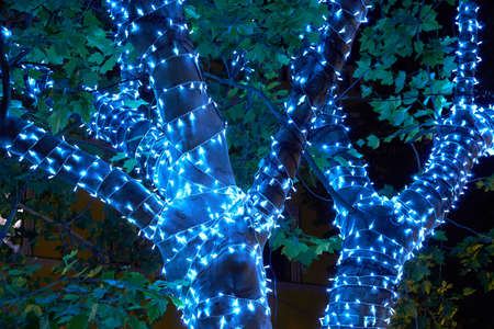 close view of tree illumination garland at night, city street