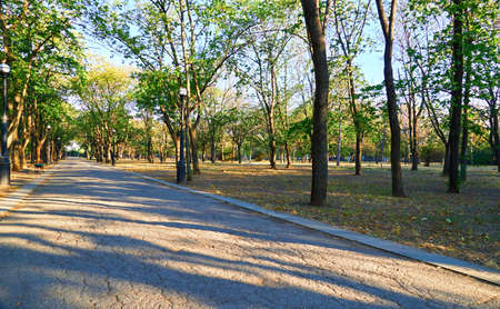 nature, trail in the city Park early in the morning, bright sunlight and long shadows of treesの写真素材