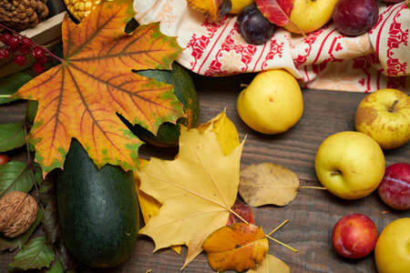 autumn still life in rustic style as a background - leaves, vegetables and fruits, nuts and other natural food ingredients on wooden boardsの写真素材