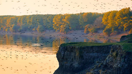 flock of birds fly over the river - colorful autumn forest landscape at sunset, trees near river and...