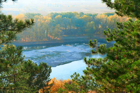 bright colorful autumn forest landscape, trees near river and blue sky, view from high hill