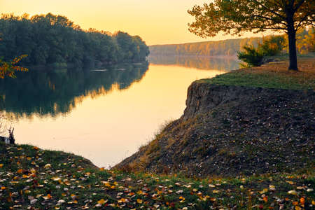 colorful autumn forest landscape at sunset, trees near river and sky, bright sunlight reflected in...