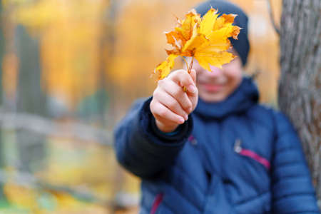a boy posing in autumn park and having fun, showing a twig and grimacing, beautiful nature with yellow leavesの写真素材