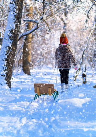 child girl sitting on a sled and playing with snow in the winter forest, bright snowy fir trees, beautiful nature.の写真素材