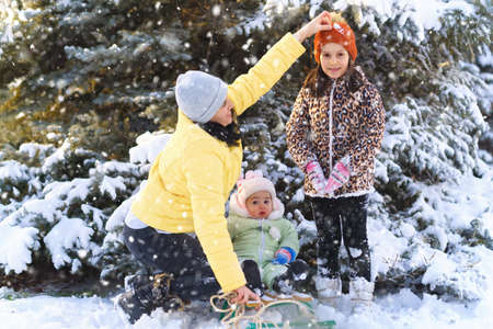 family portrait in the winter forest, mother and children sitting and playing with snow, beautiful nature with snowy fir trees.の写真素材