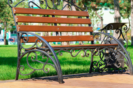 city park on a summer day, green lawns with grass and trees, path and bench, bright sunlight and shadowsの写真素材