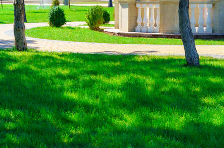 city park on a summer day, green lawns with grass and trees, bright sunlight and shadowsの写真素材
